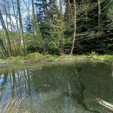 Dom wakacyjny Nature Retreat In Lorraine *