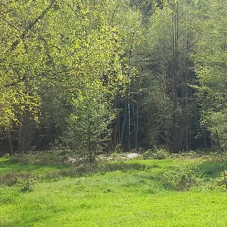 Nature Retreat In Lorraine *