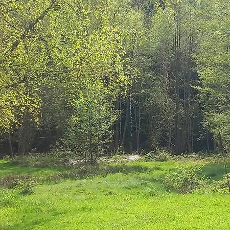 In Quirin With Garden *