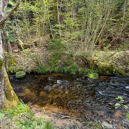 Dom wakacyjny Nature Retreat In Lorraine Saint-Quirin