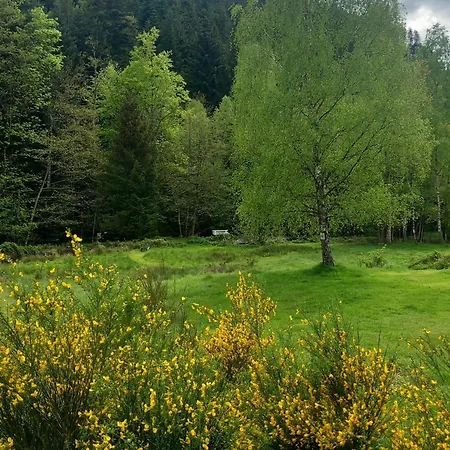 In Quirin With Garden Holiday home Saint-Quirin