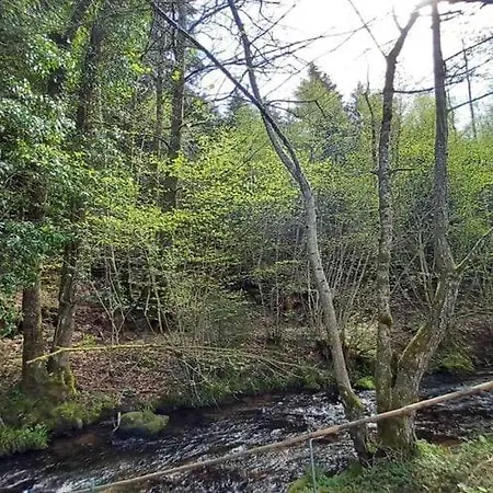 Nature Retreat In Lorraine 펜션 Saint-Quirin