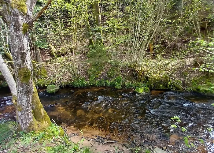 Semesterbostad Nature Retreat In Lorraine Saint-Quirin